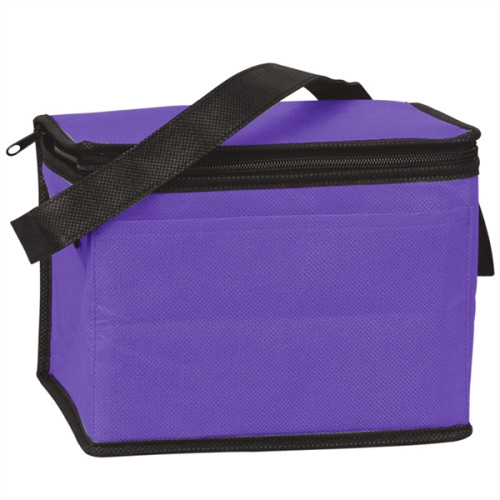 Pack Non Woven Cooler Bag Everythingbranded Usa