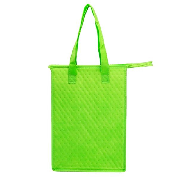 Insulated Lunch Zip Tote Bag Lunch Green Gray Logo Swag ana Brand  New