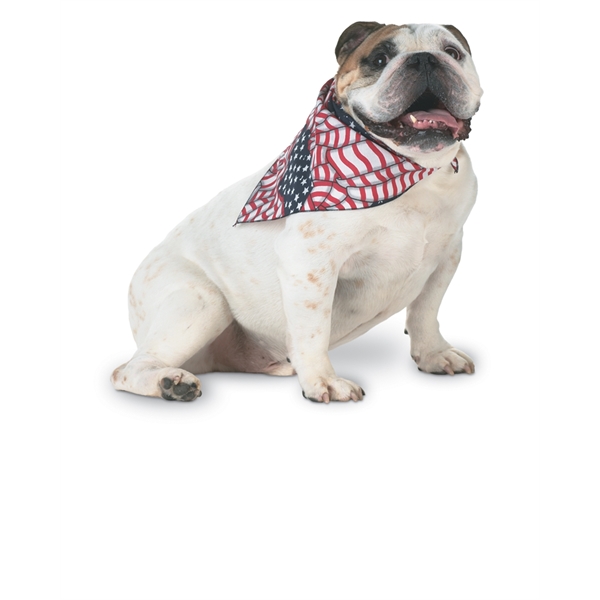 UofLCEHDstore - COE243<br>Doggie Bandana