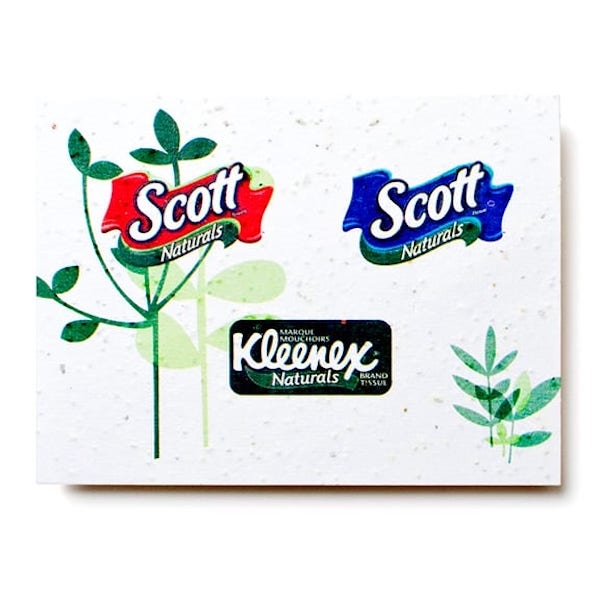 Plantable Seed Paper Postcard - Planters with Logo - Q875611 QI