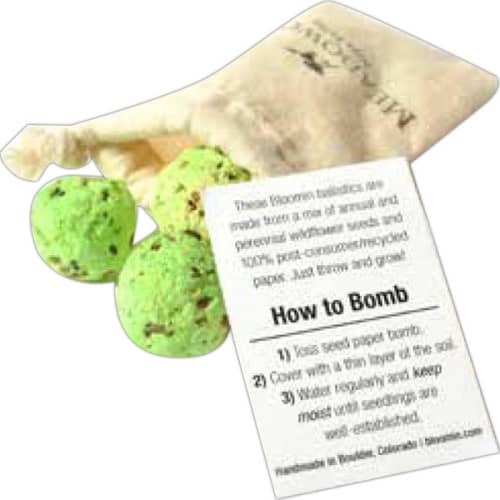 recycled paper seed bombs