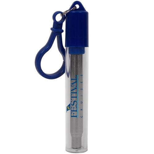 Festival Telescopic Custom Branded Reusable Straw | ePromos