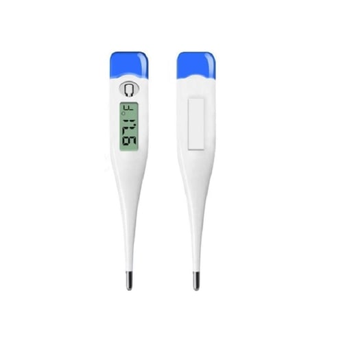 Digital Thermometer  EverythingBranded USA