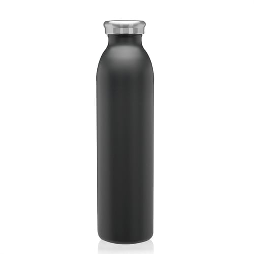 20 oz Stainless Steel Water Bottle