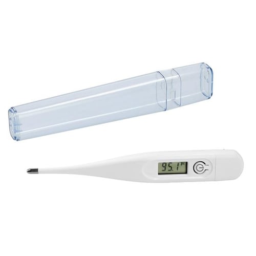 Digital Thermometer  EverythingBranded USA