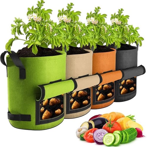 Grow Your Veggies in a Bag This Summer