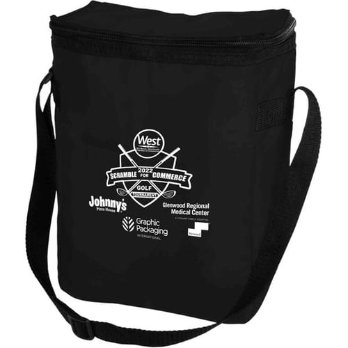 Large Insulated Medicine Bag