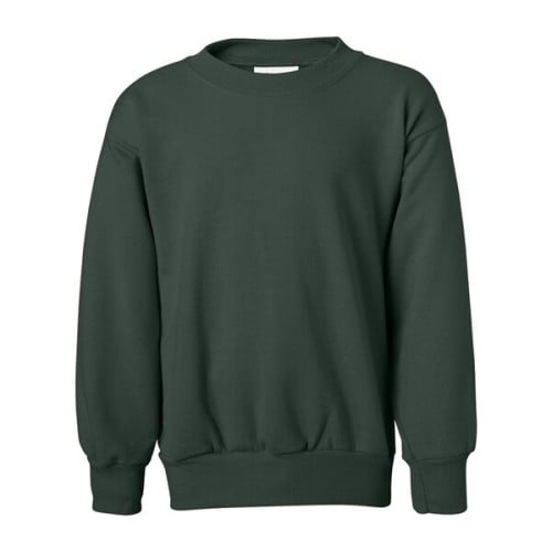 Hanes Ecosmart® Youth Crewneck Sweatshirt